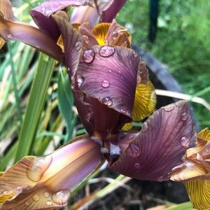 Meet your Posher, Judith